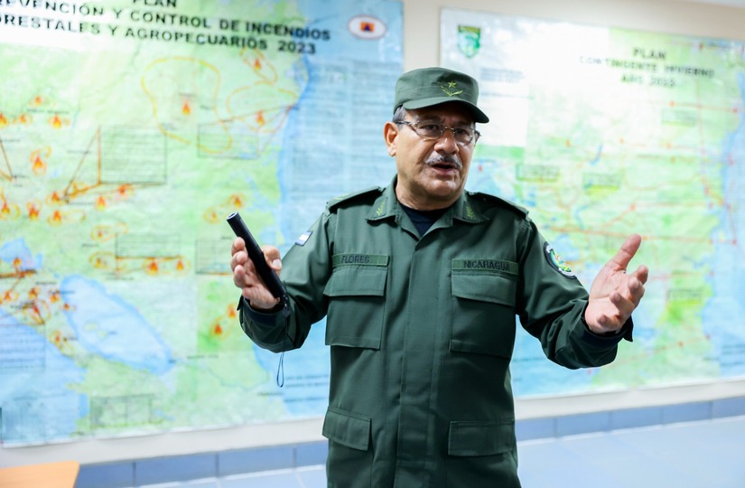 DEFENSA