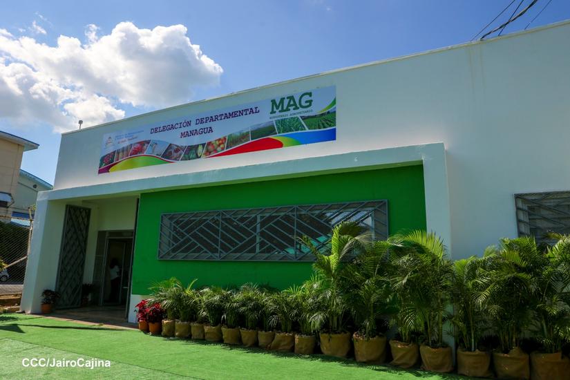 mag