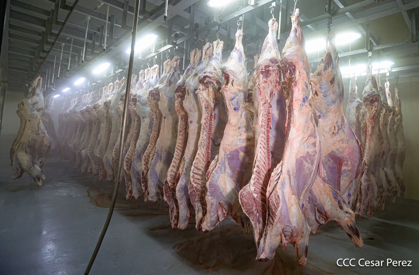 carne