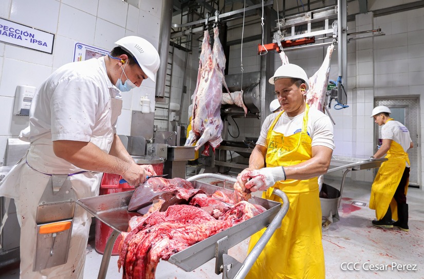 carne