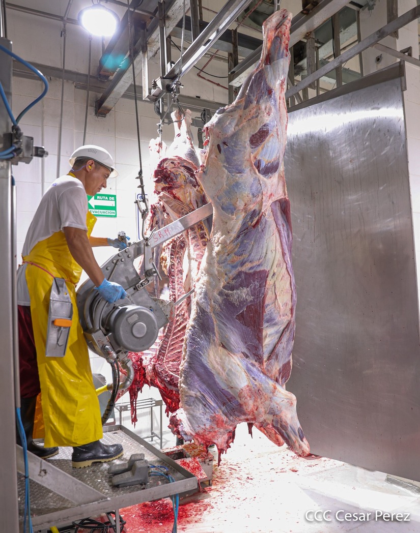 carne