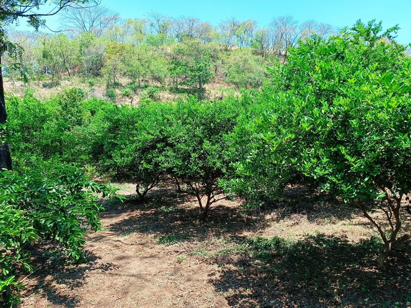 FINCA
