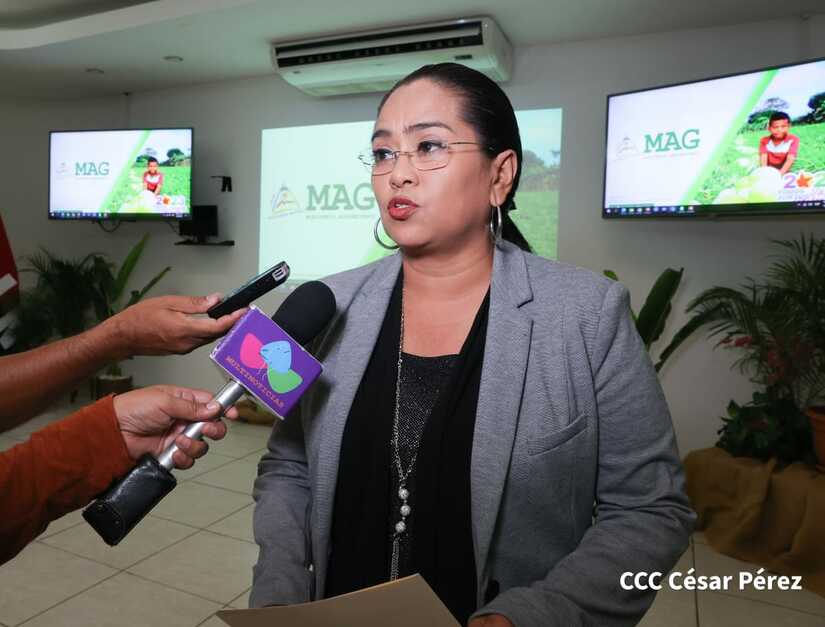 mag-mapas