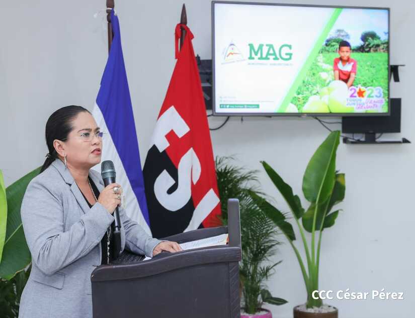mag-mapas