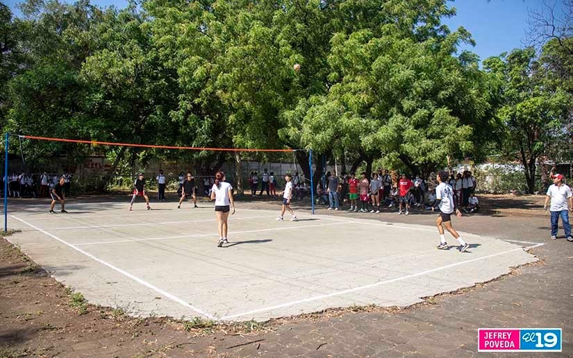 voleibol