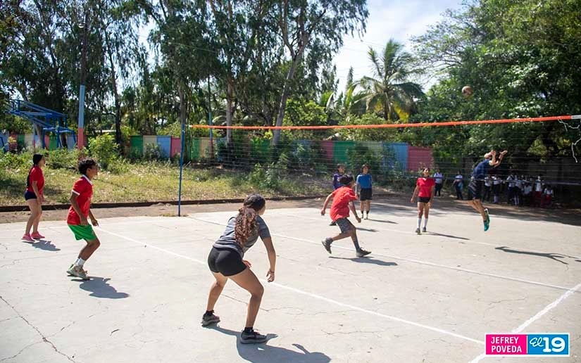 voleibol