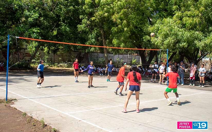 voleibol