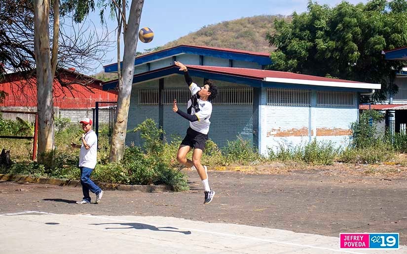 voleibol