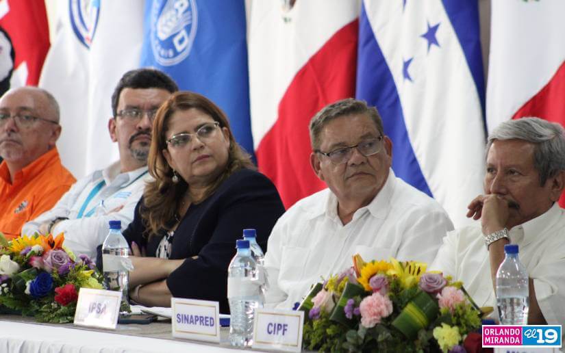 ipsa