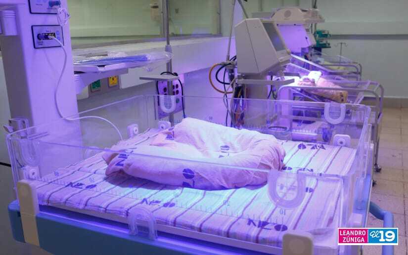 neonatologia