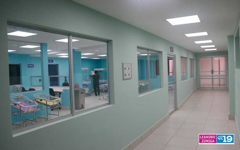 neonatologia