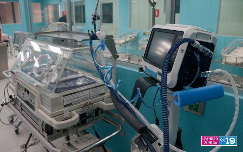 neonatologia