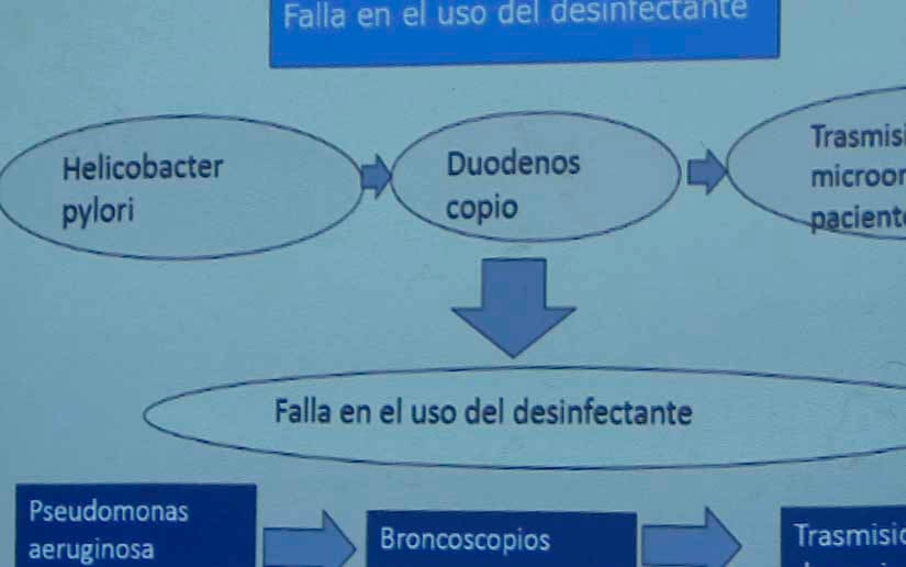 endoscopia