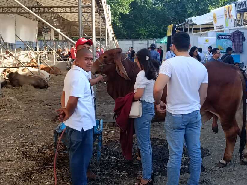 FERIA
