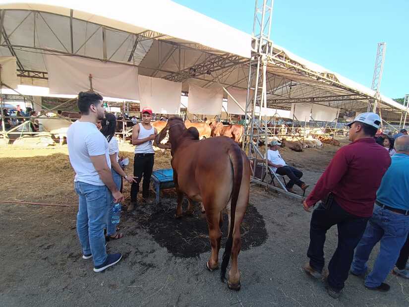 FERIA