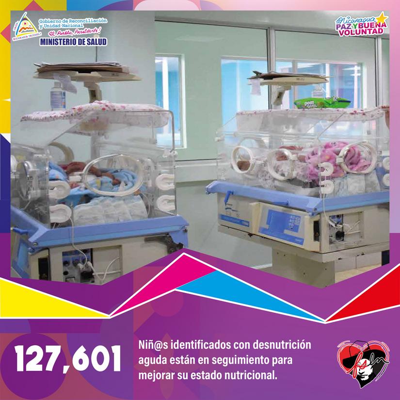 plan-nutricional