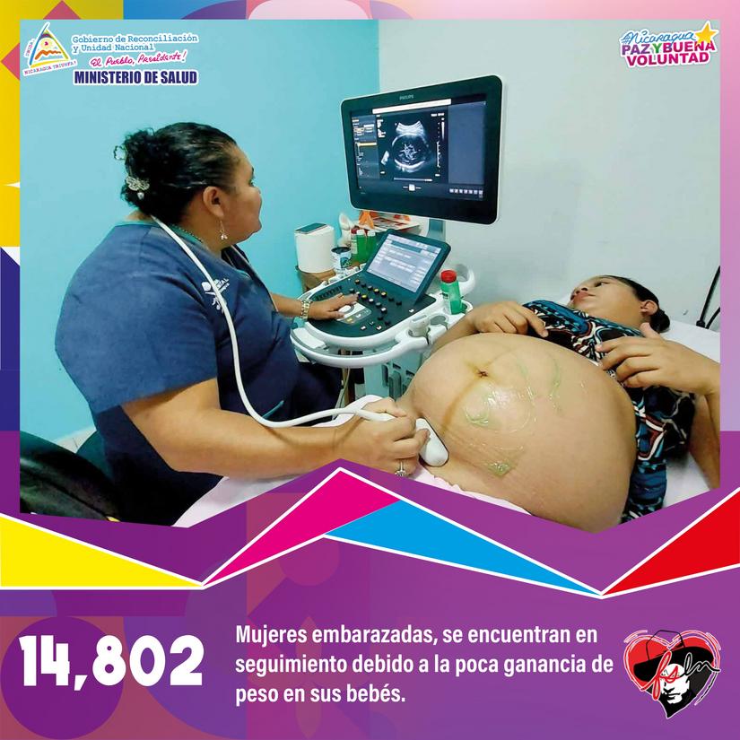 plan-nutricional
