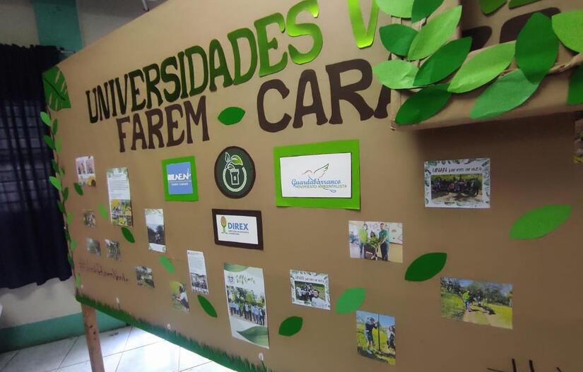 VERDES