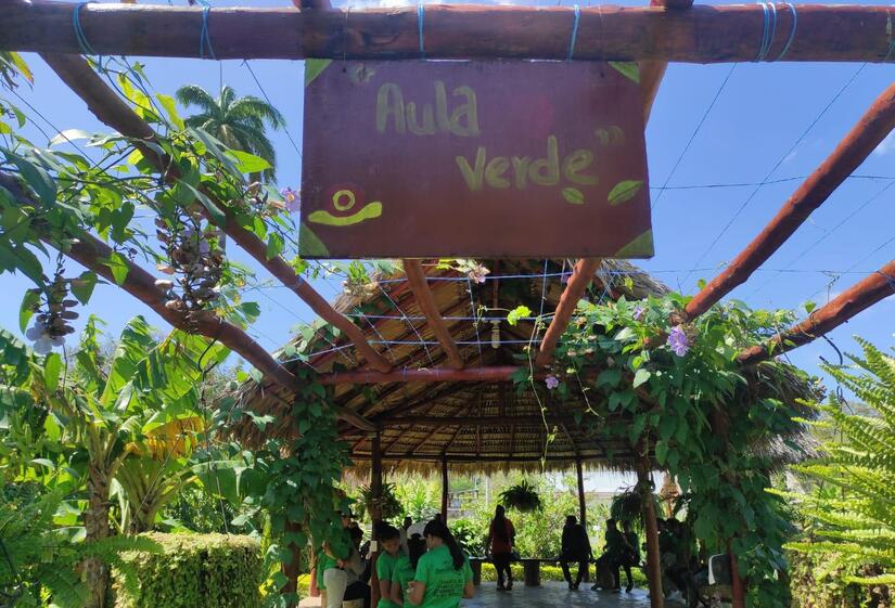 VERDES
