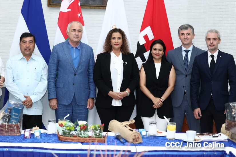 alcaldia