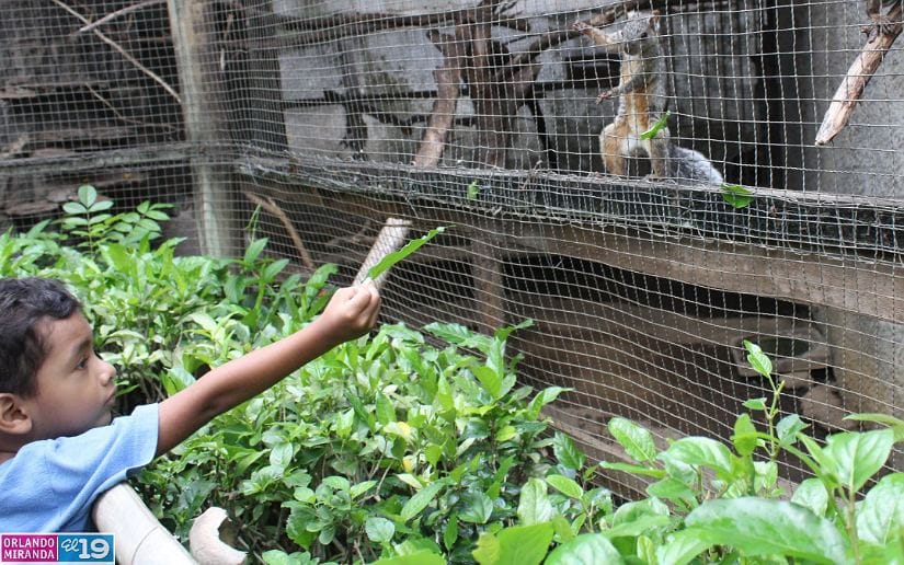 ZOO