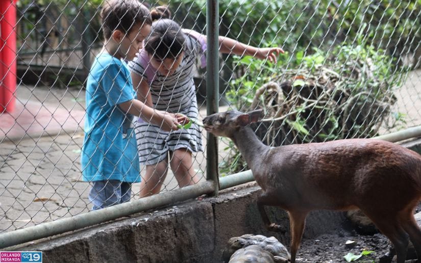 ZOO
