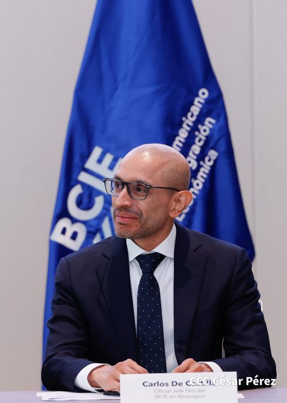 becas-bcie