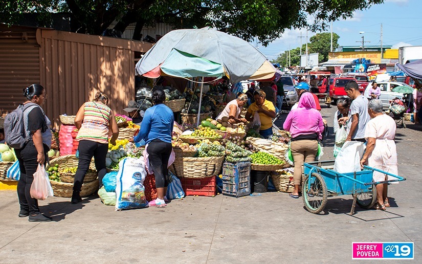 mercado-mayoreo