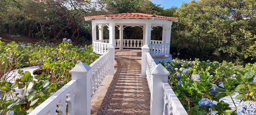 flores
