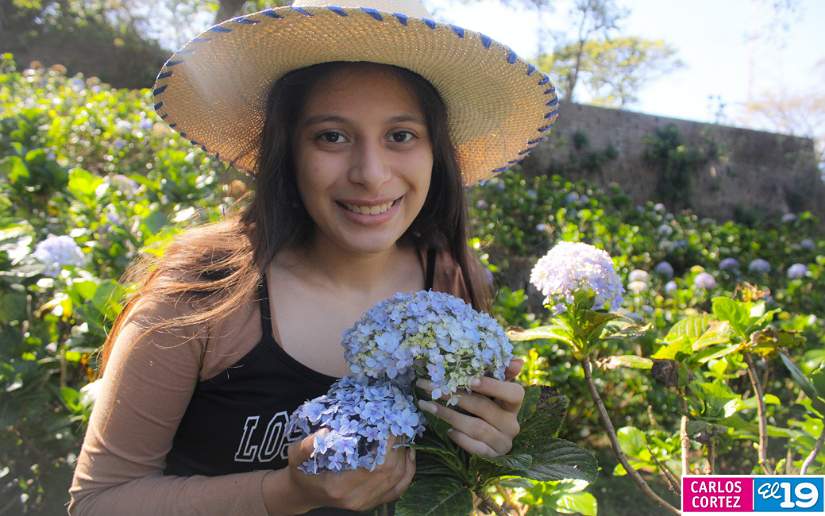 milflores
