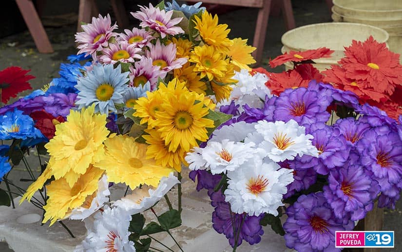 flores