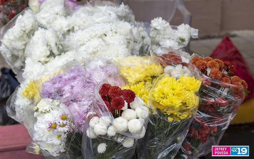 flores