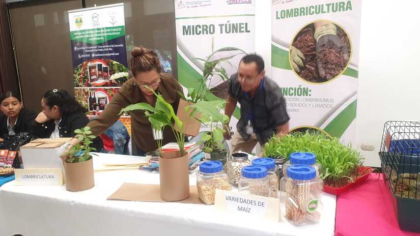 congreso
