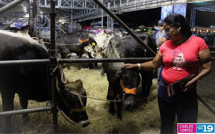FERIA