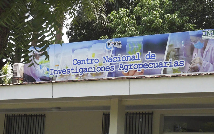inta