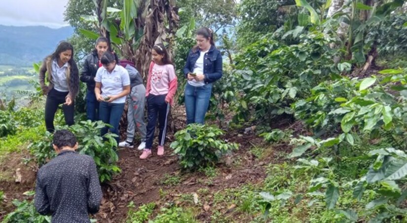 PRODUCCION