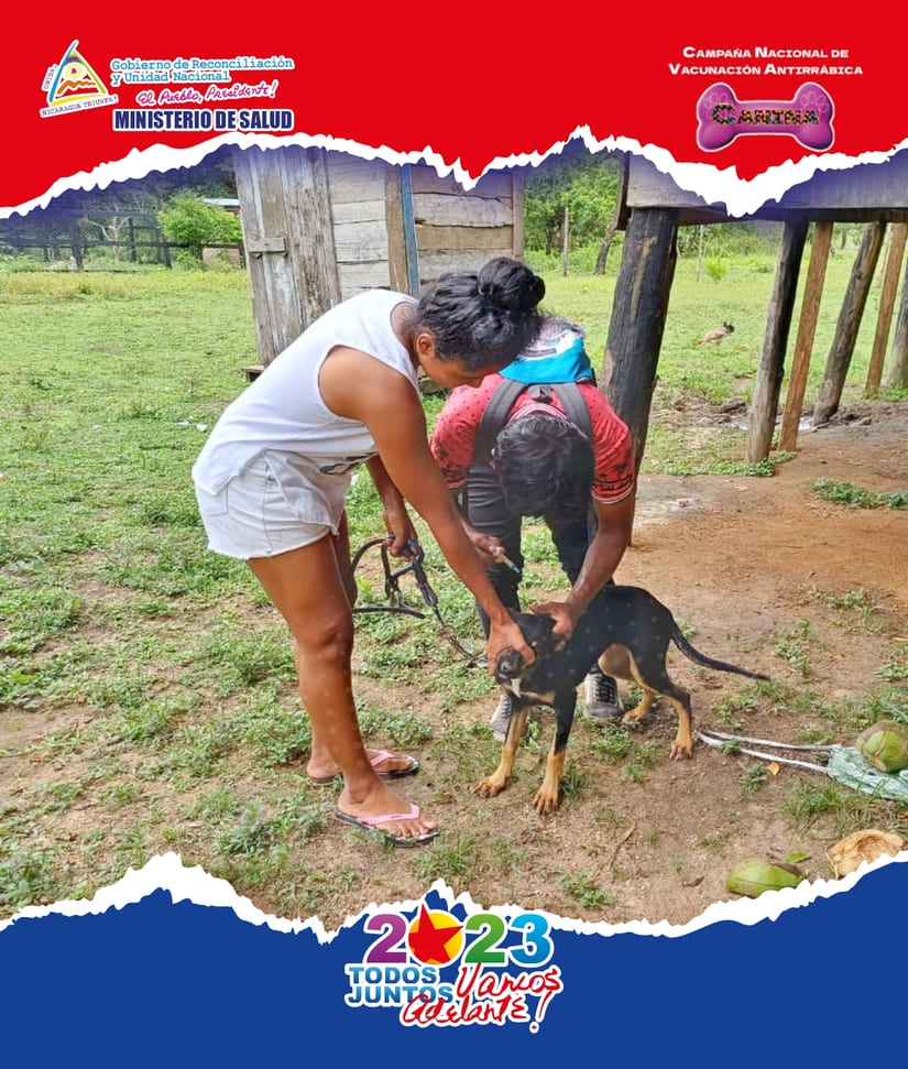 PERROS