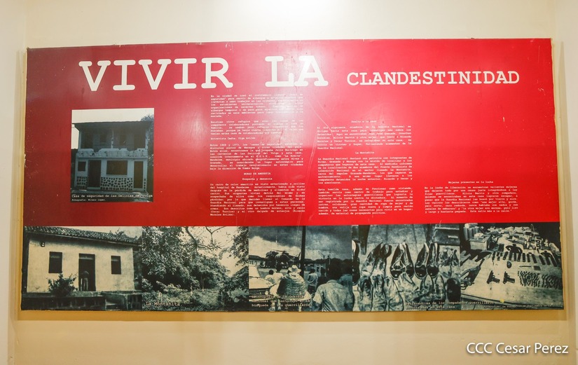 MUSEO