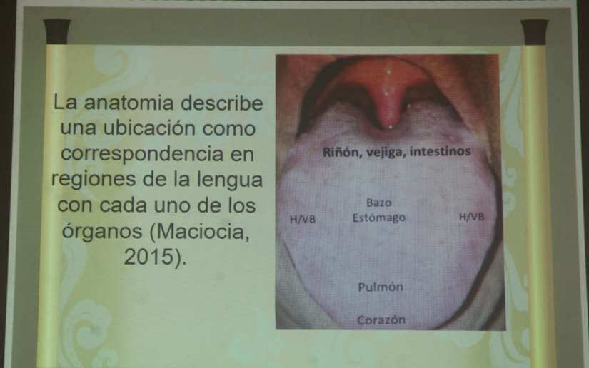 curso