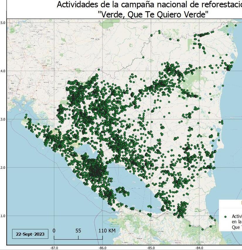 reforesta