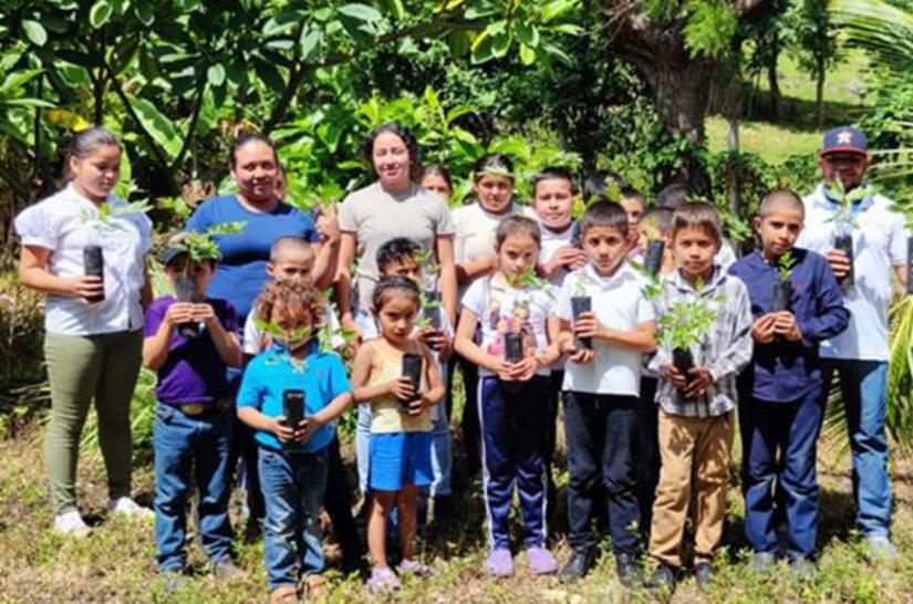 reforesta