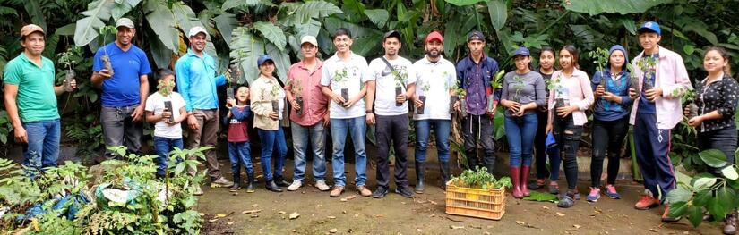 reforesta