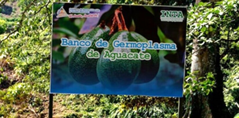 finca