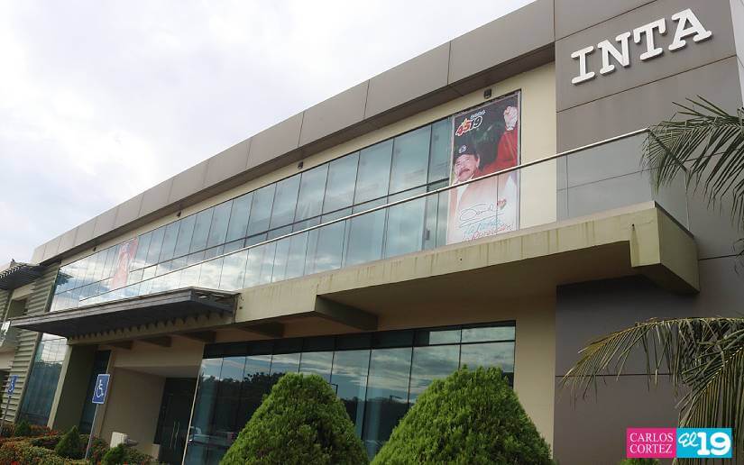 INTA--1