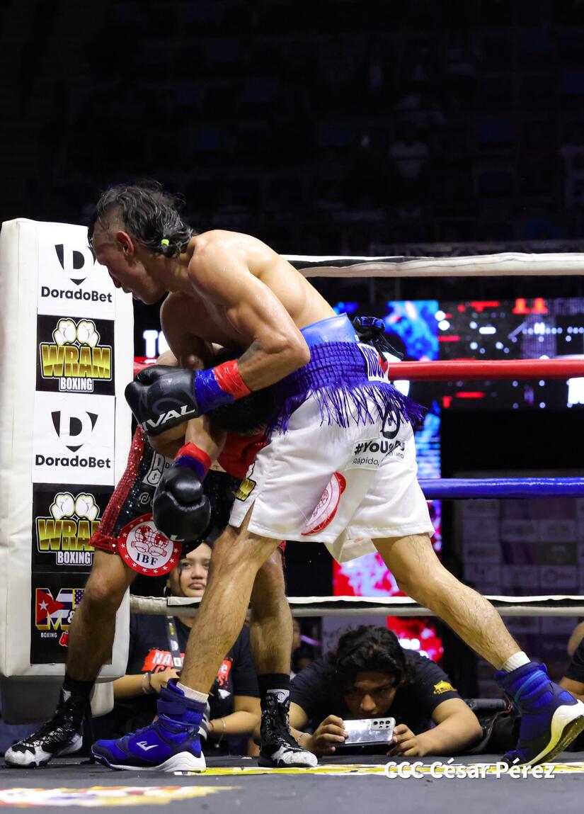 BOXEO-(12)