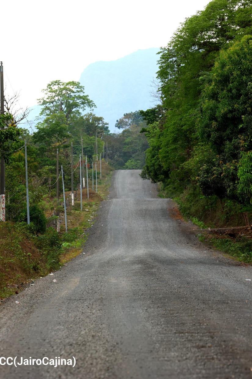CARRETERA