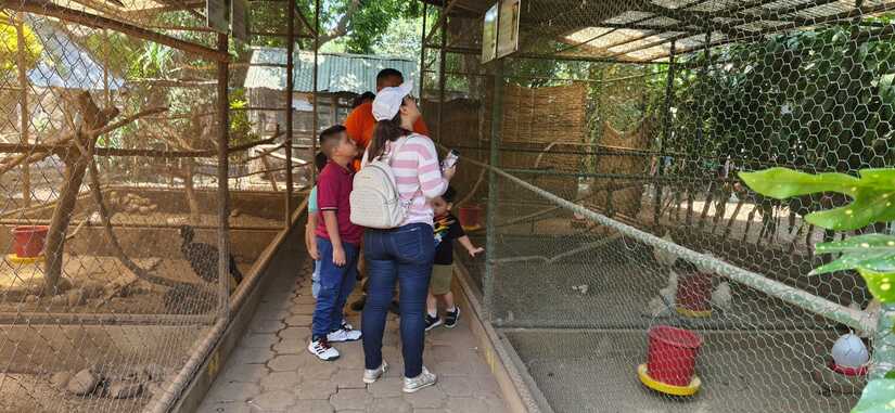 ZOO