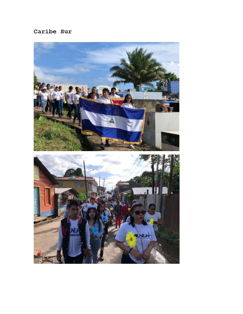 Reporte-Entrega-de-Flores-Departamentos-de-todo-el-pais_page-0003