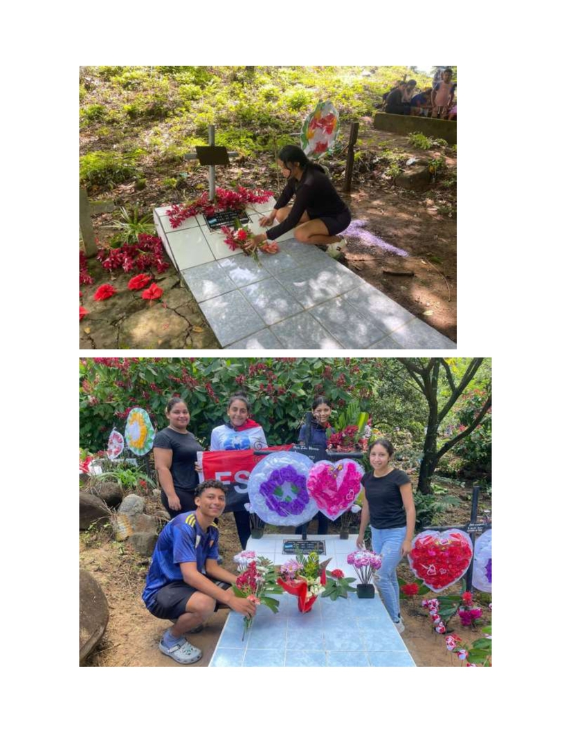 Reporte-Entrega-de-Flores-Departamentos-de-todo-el-pais_page-0025