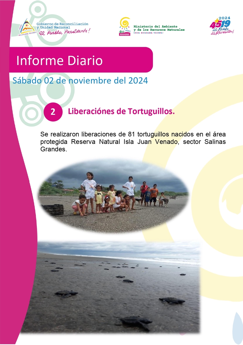INFORME-FOTOGRAFA_CO-02-DE-NOVIEMBRE_page-0002